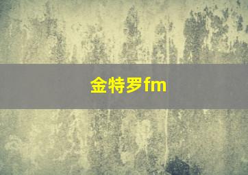 金特罗fm