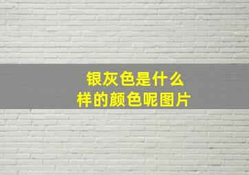 银灰色是什么样的颜色呢图片