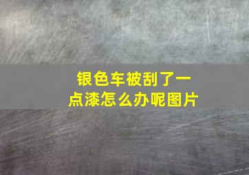 银色车被刮了一点漆怎么办呢图片