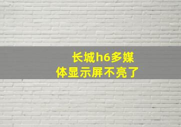 长城h6多媒体显示屏不亮了