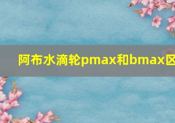 阿布水滴轮pmax和bmax区别