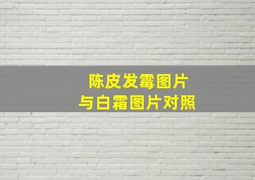 陈皮发霉图片与白霜图片对照