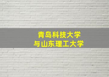 青岛科技大学与山东理工大学