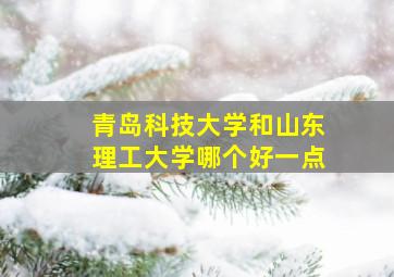 青岛科技大学和山东理工大学哪个好一点