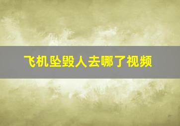 飞机坠毁人去哪了视频