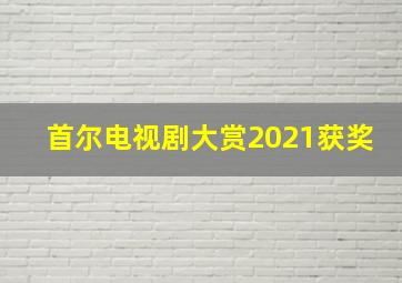 首尔电视剧大赏2021获奖