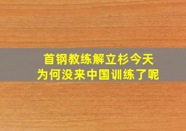 首钢教练解立杉今天为何没来中国训练了呢