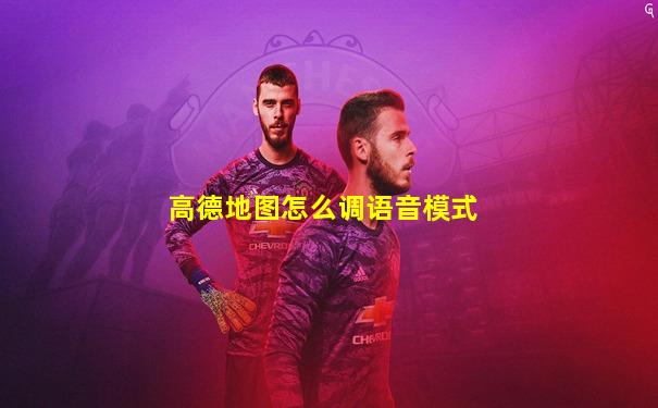 高德地图怎么调语音模式