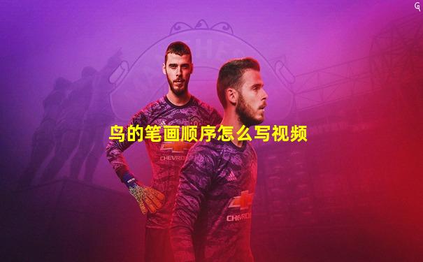 鸟的笔画顺序怎么写视频