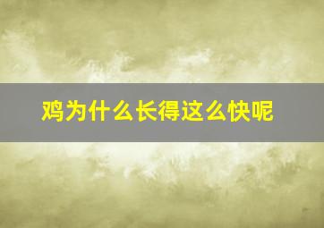 鸡为什么长得这么快呢