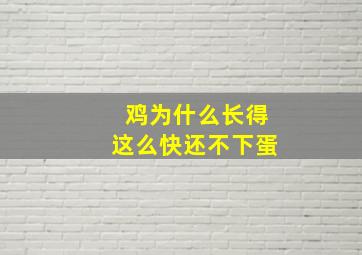 鸡为什么长得这么快还不下蛋