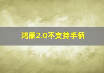 鸿蒙2.0不支持手柄