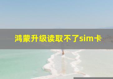 鸿蒙升级读取不了sim卡