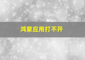 鸿蒙应用打不开