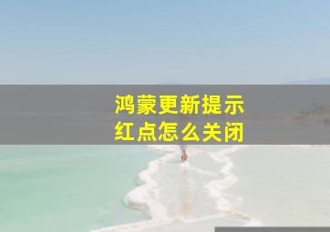 鸿蒙更新提示红点怎么关闭