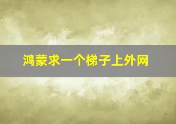 鸿蒙求一个梯子上外网