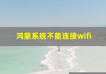 鸿蒙系统不能连接wifi