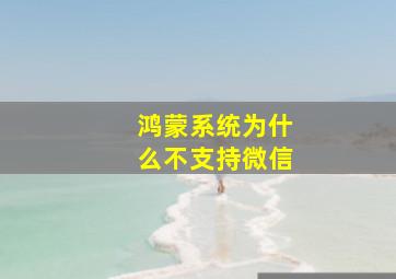 鸿蒙系统为什么不支持微信