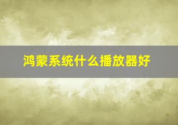 鸿蒙系统什么播放器好