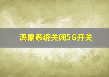 鸿蒙系统关闭5G开关