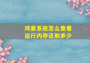 鸿蒙系统怎么查看运行内存还剩多少