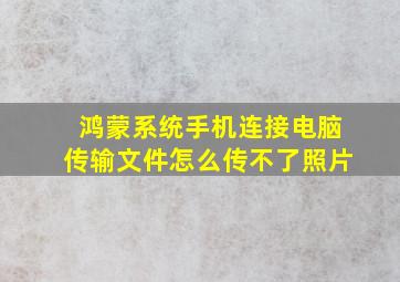 鸿蒙系统手机连接电脑传输文件怎么传不了照片