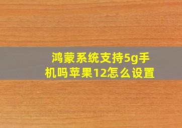 鸿蒙系统支持5g手机吗苹果12怎么设置