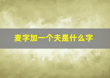 麦字加一个夫是什么字