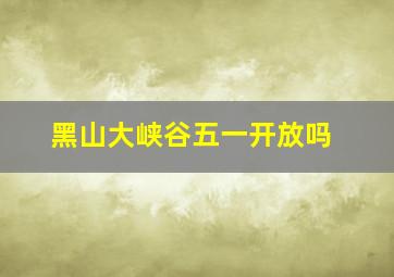 黑山大峡谷五一开放吗